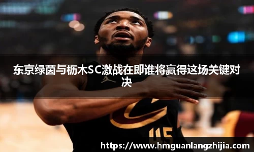 东京绿茵与枥木SC激战在即谁将赢得这场关键对决